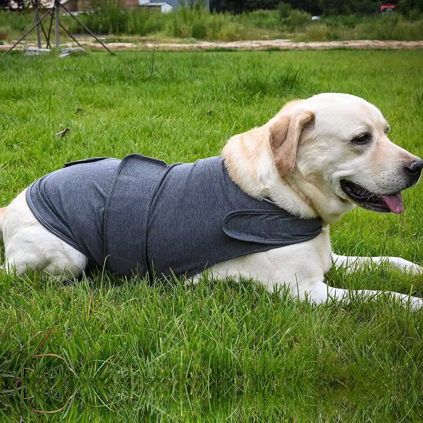 Pet Clothing Thermal Vest for Dogs Anti-anxiety Comforter Lightning Storm Scare Jacket Breathable