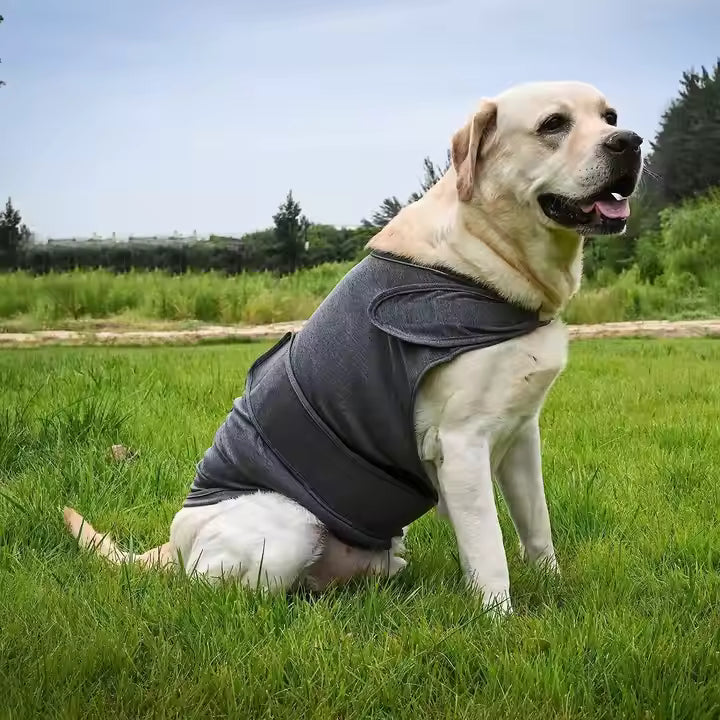 Pet Clothing Thermal Vest for Dogs Anti-anxiety Comforter Lightning Storm Scare Jacket Breathable