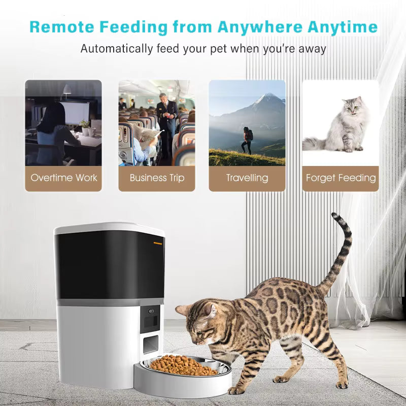 Tuya App Remote Control 6L Cat Dog Automatic Pet Feeder Dry Food Dispenser Wifi Smart Pet Feeder Pet Food Dispenser